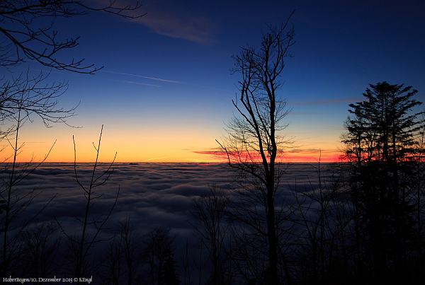 Hoher Bogen Abendstimmung