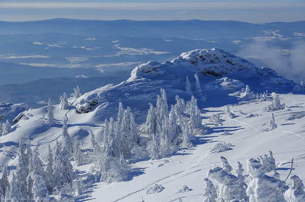 Arbergipfel im Winter