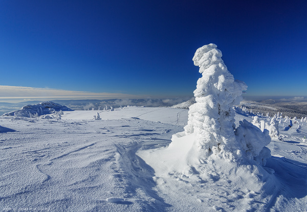 Arbergipfel und Arbermandl