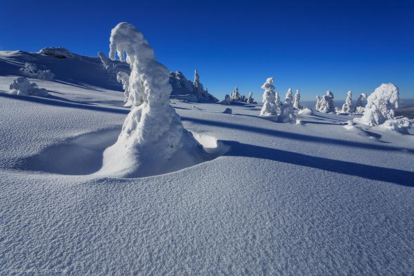 Hochwinter und Arbermandl