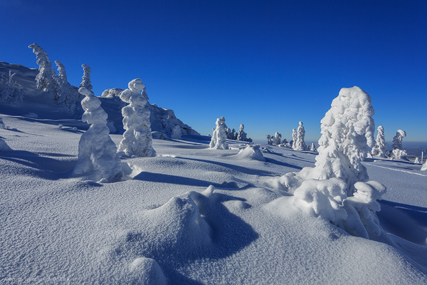 Arbermandln auf dem Arbergipfel