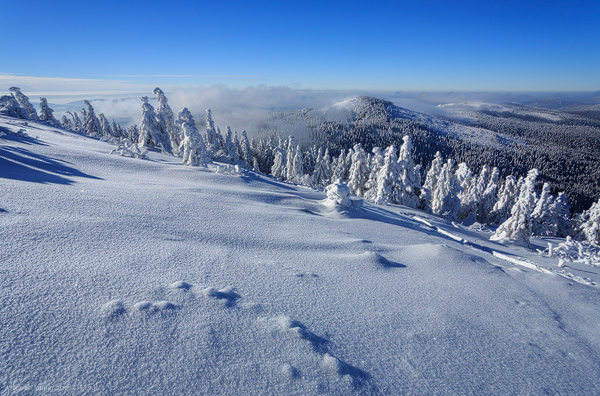 Großer und Kleiner Arber