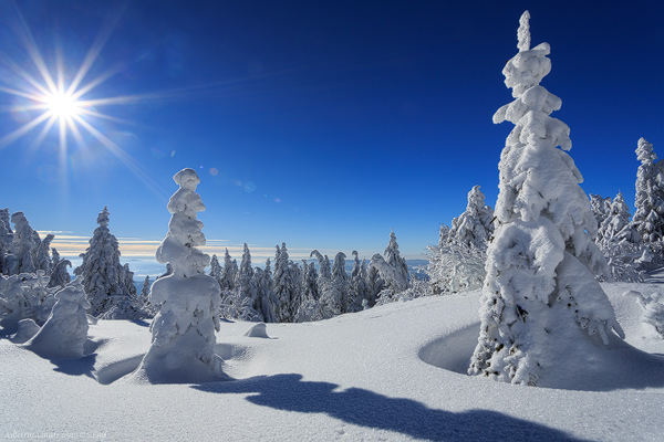 Arbergipfel Winterlandschaft