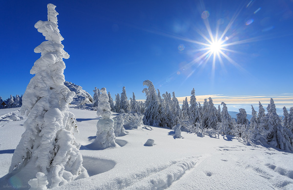 Arber Winterlandschaft