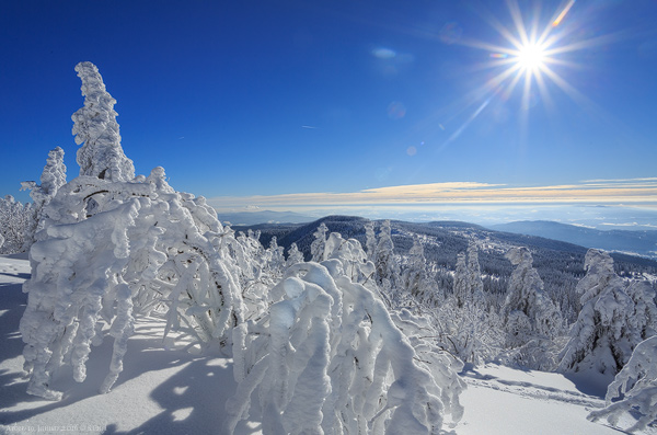 Arbergipfel Aussicht