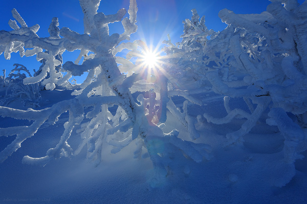 Raureif Winterlandschaft