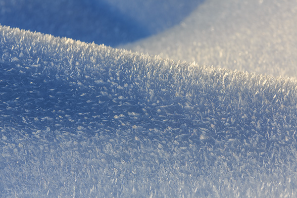 Eiskristalle Baumstamm