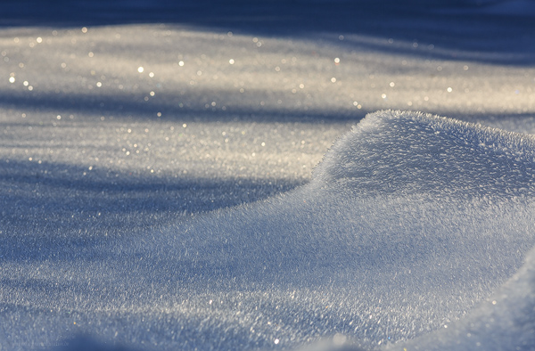 Eiskristalle in den Wiese