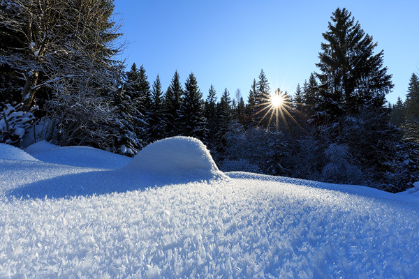 Eiskristalle im Arbergebiet