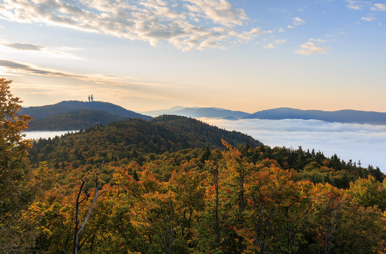 Herbststimmung am Hohen Bogen Oberer Bayerischer Wald