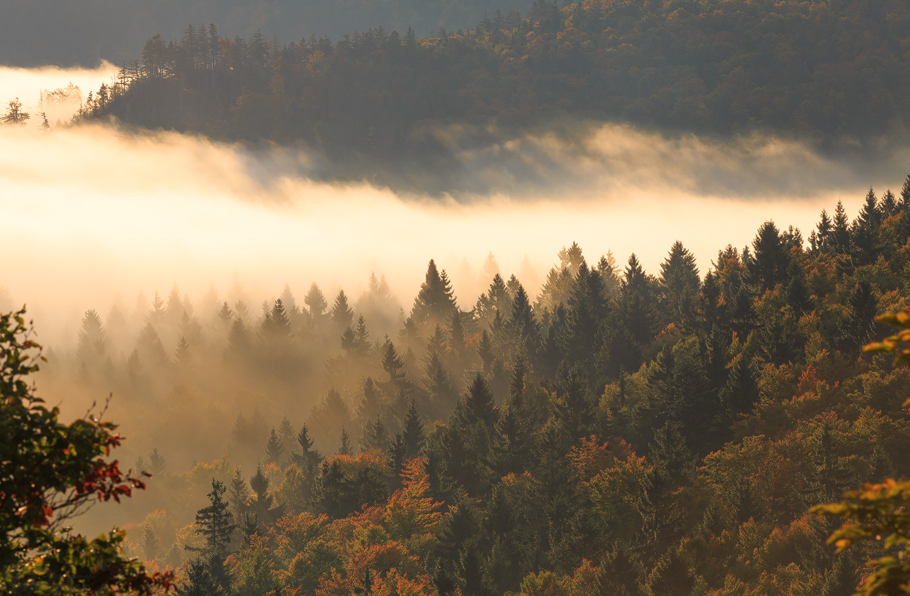 Herbststimmung am Hohen Bogen Oberer Bayerischer Wald